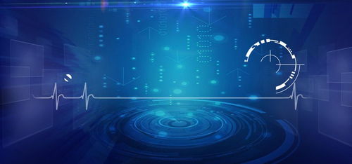 尧都区网络文化经营项目偿债能力分析收费标准解析